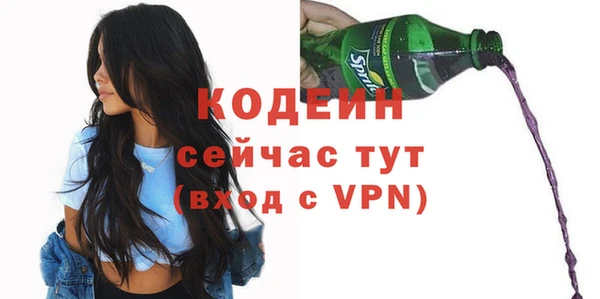 дживик Чегем