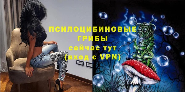 сатива Хадыженск