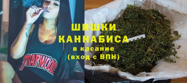дживик Чегем