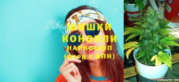 сатива Хадыженск