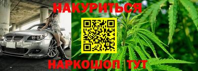 крисы Бузулук